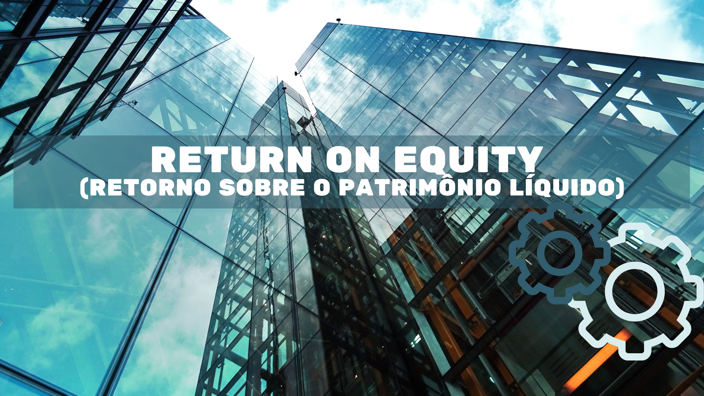 ROE Return on Equity - Capa