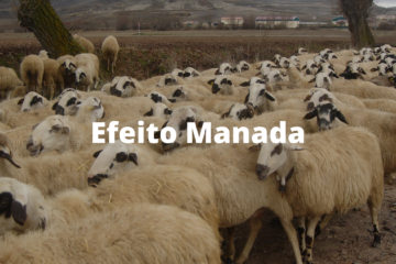 Efeito Manada - Capa